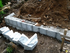 IMG_20160712_171033.jpg