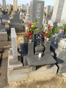 IMG_20170104_095408.jpg